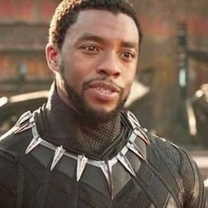 Meet your Posher, Stewbedoo